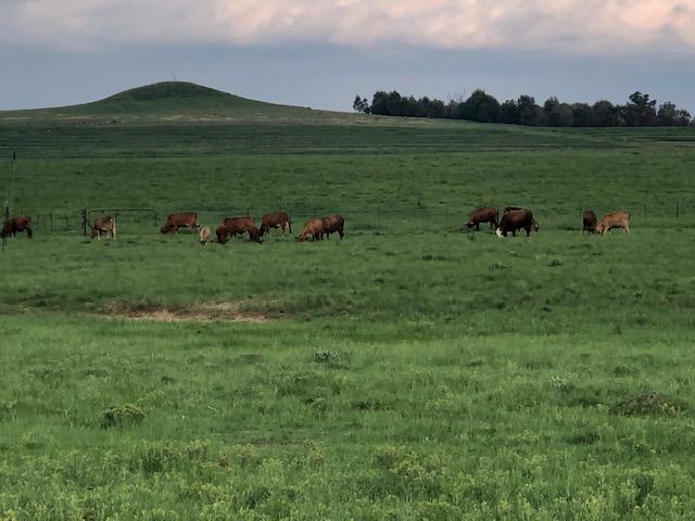 0 Bedroom Property for Sale in Bethlehem Rural Free State